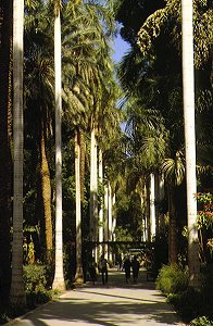 Botanischer Garten in Assuan