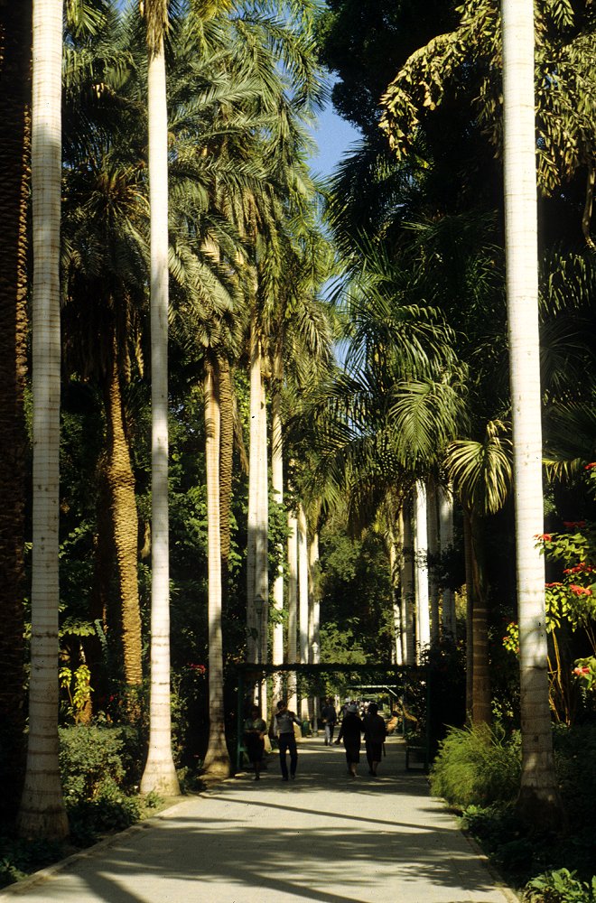 Botanischer Garten von Assuan
