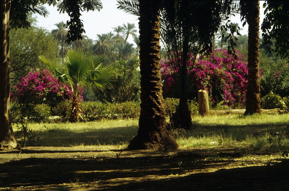 Botanischer Garten auf der Kitchener-Insel