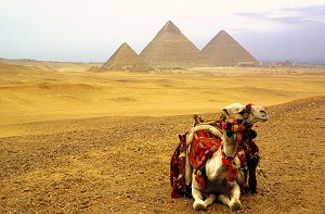 Die Pyramiden auf dem Plateau von Gizeh