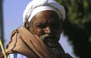 Kutscher in Luxor