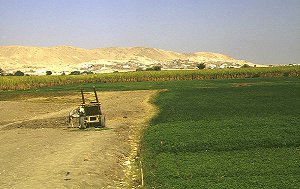 Landwirtschaftliche Nutzfläche und Wüste