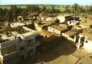 Dorf im Nildelta