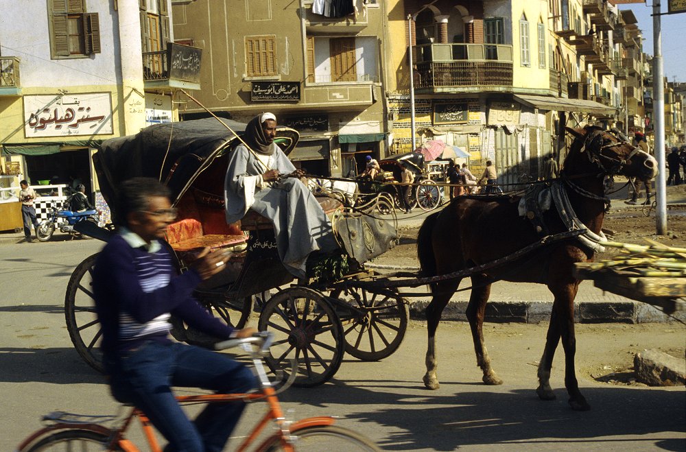Pferdekutsche in Luxor