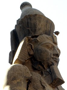 Ramses II. am Luxortempel