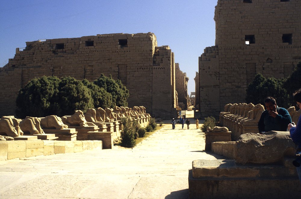 Sphingen mit Widderkopf in Karnak - Astrologie oder Astronomie