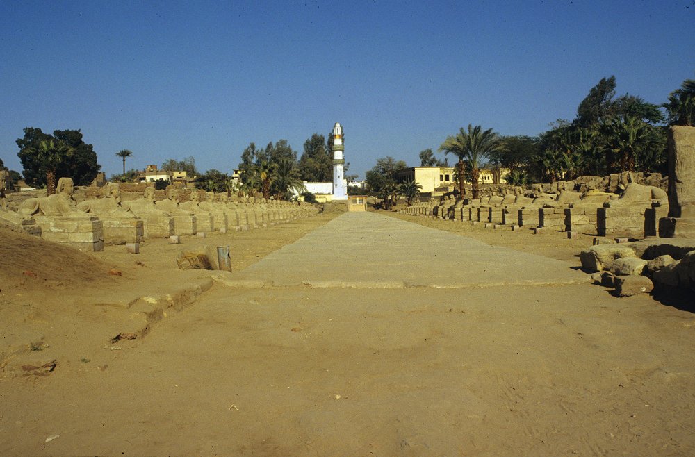 Sphinx-Allee am Luxor-Tempel